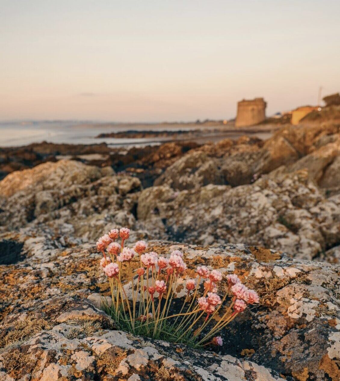 Image by the water